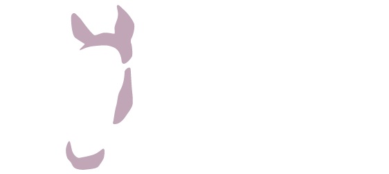 EVDA Logo